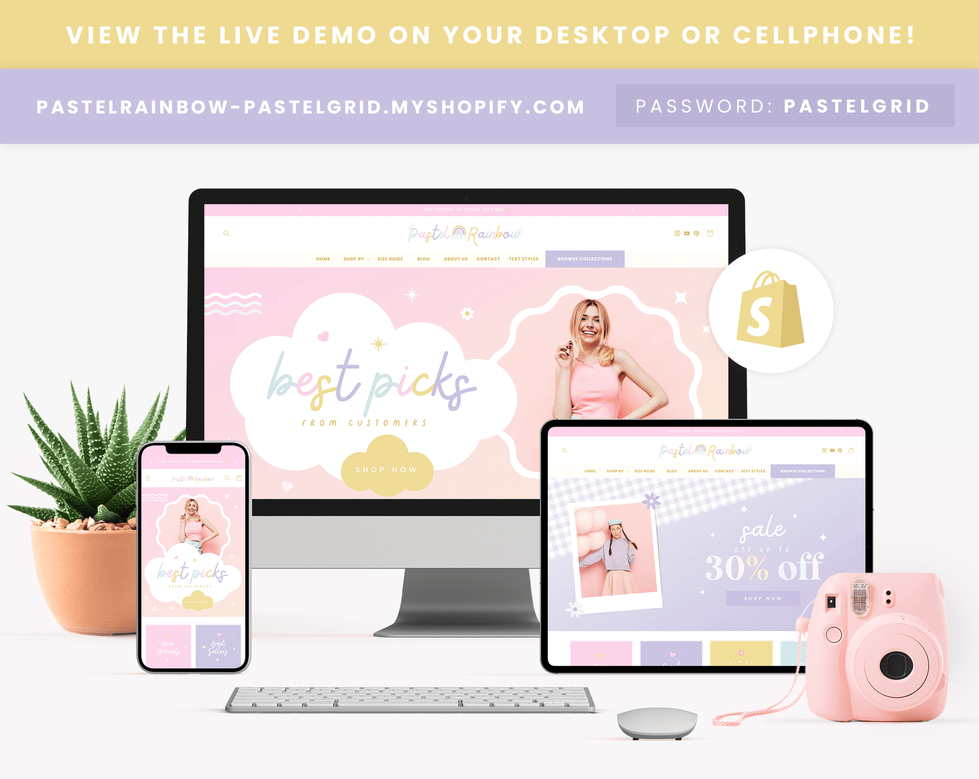Shopify Theme