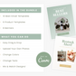 Newsletter Templates