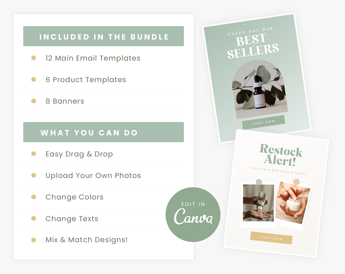 Newsletter Templates