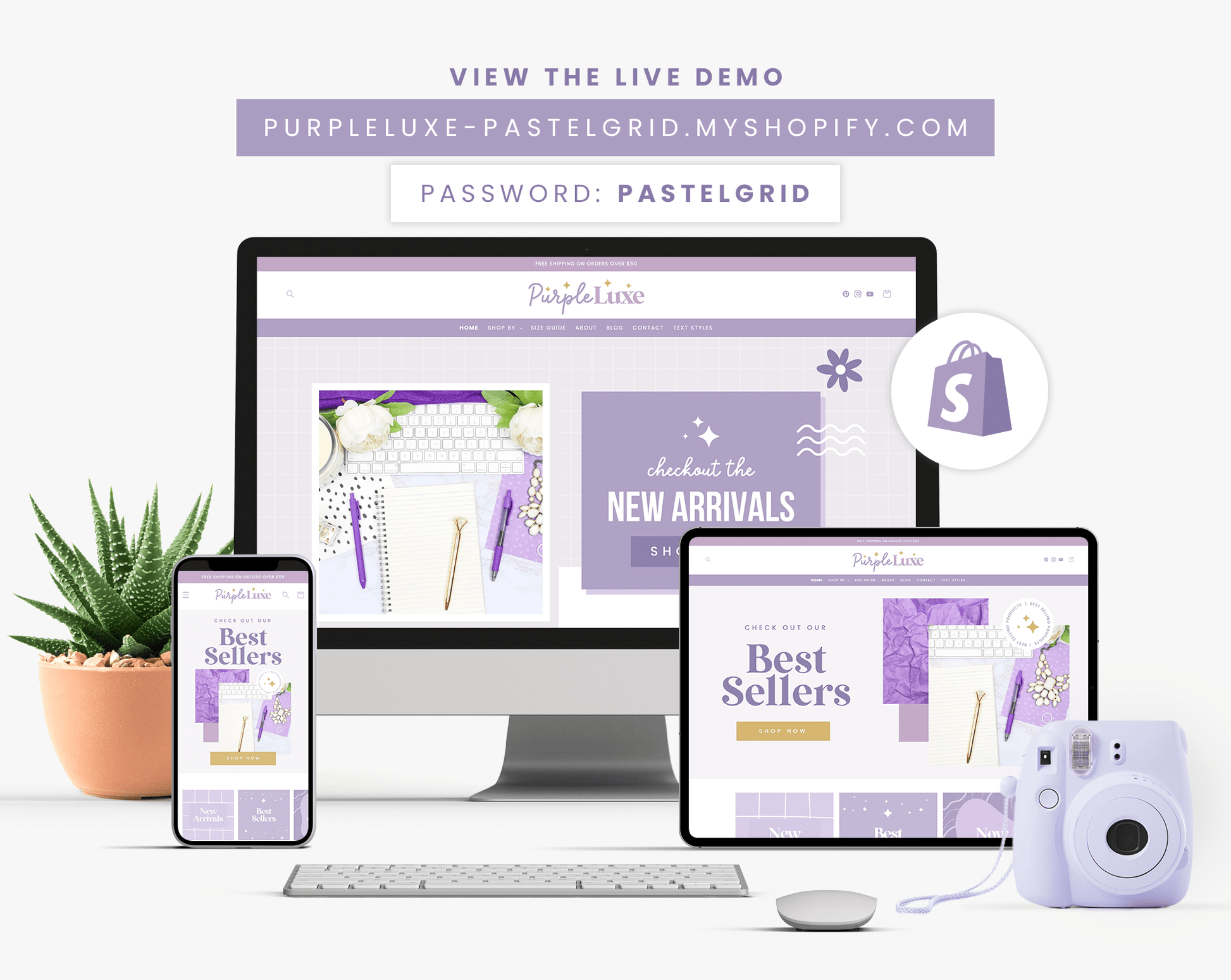 Shopify Theme