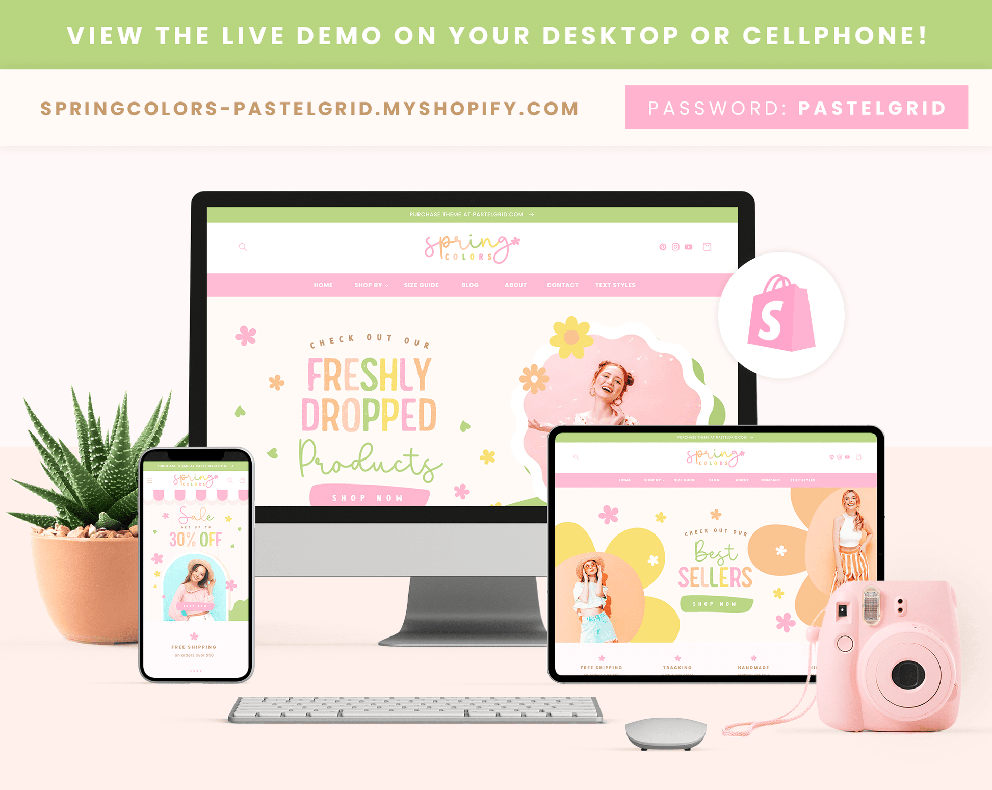 Shopify Theme