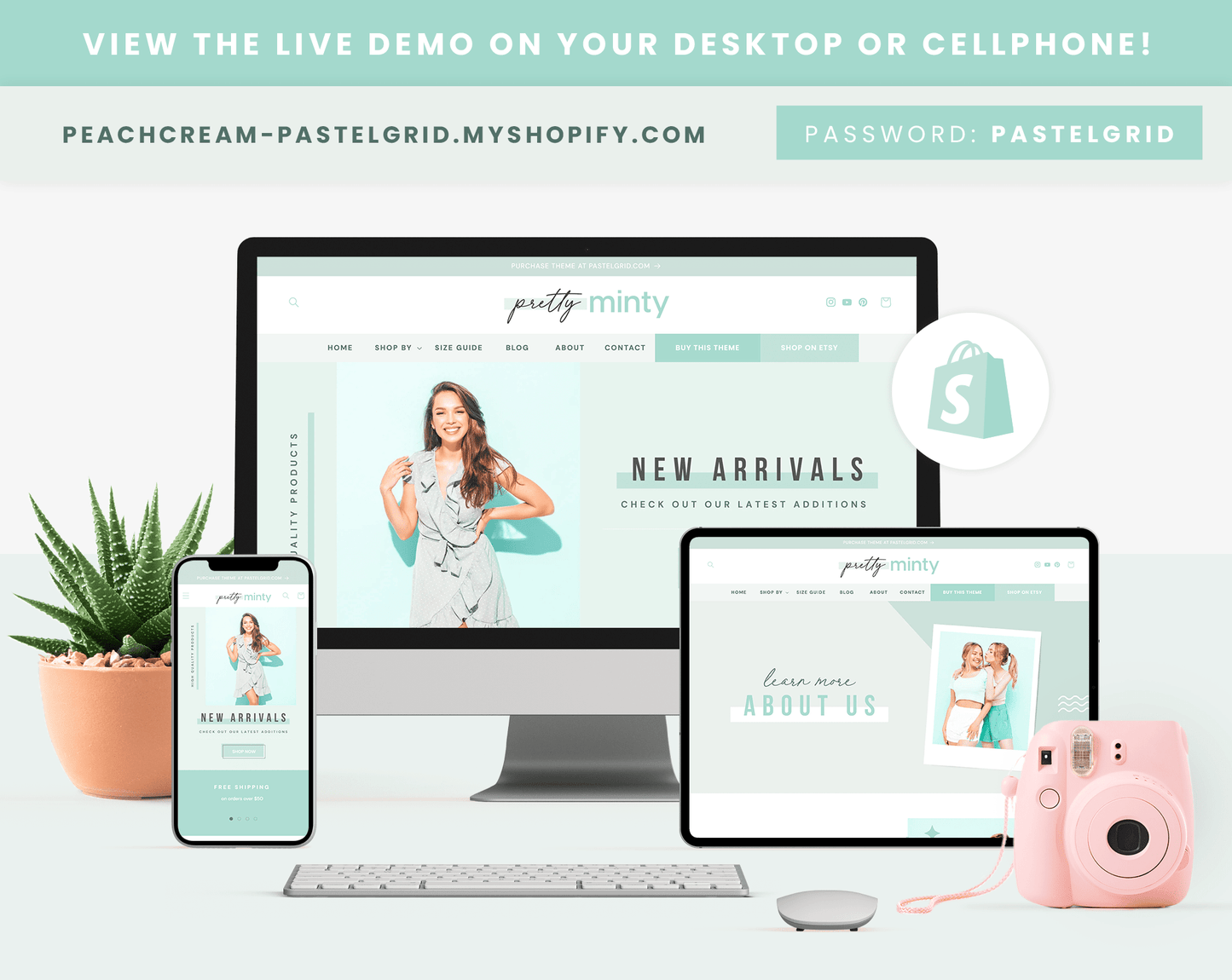 Shopify Theme