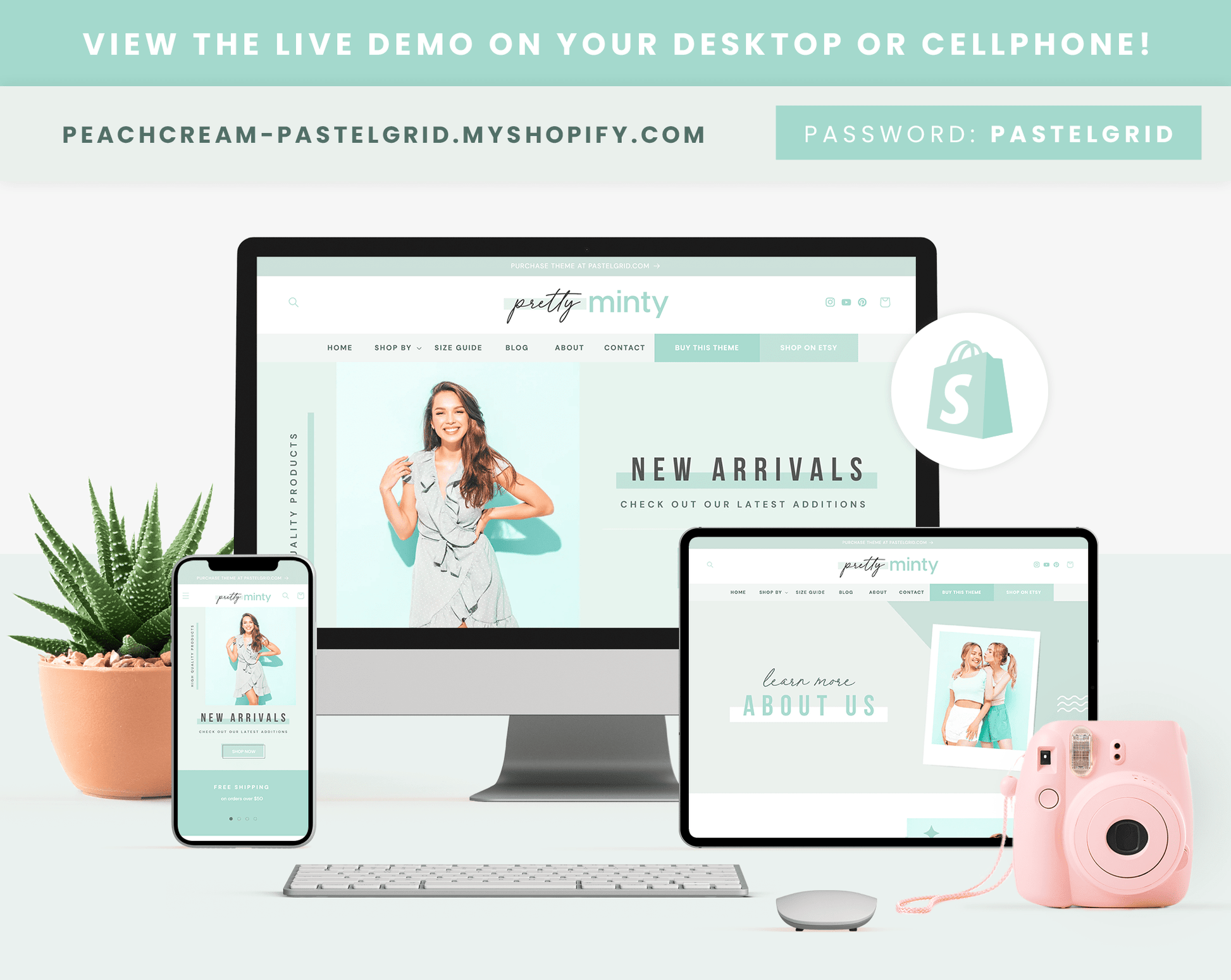 Shopify Theme