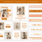 Newsletter Templates