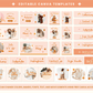 Shopify Theme