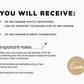 Instagram Bundle