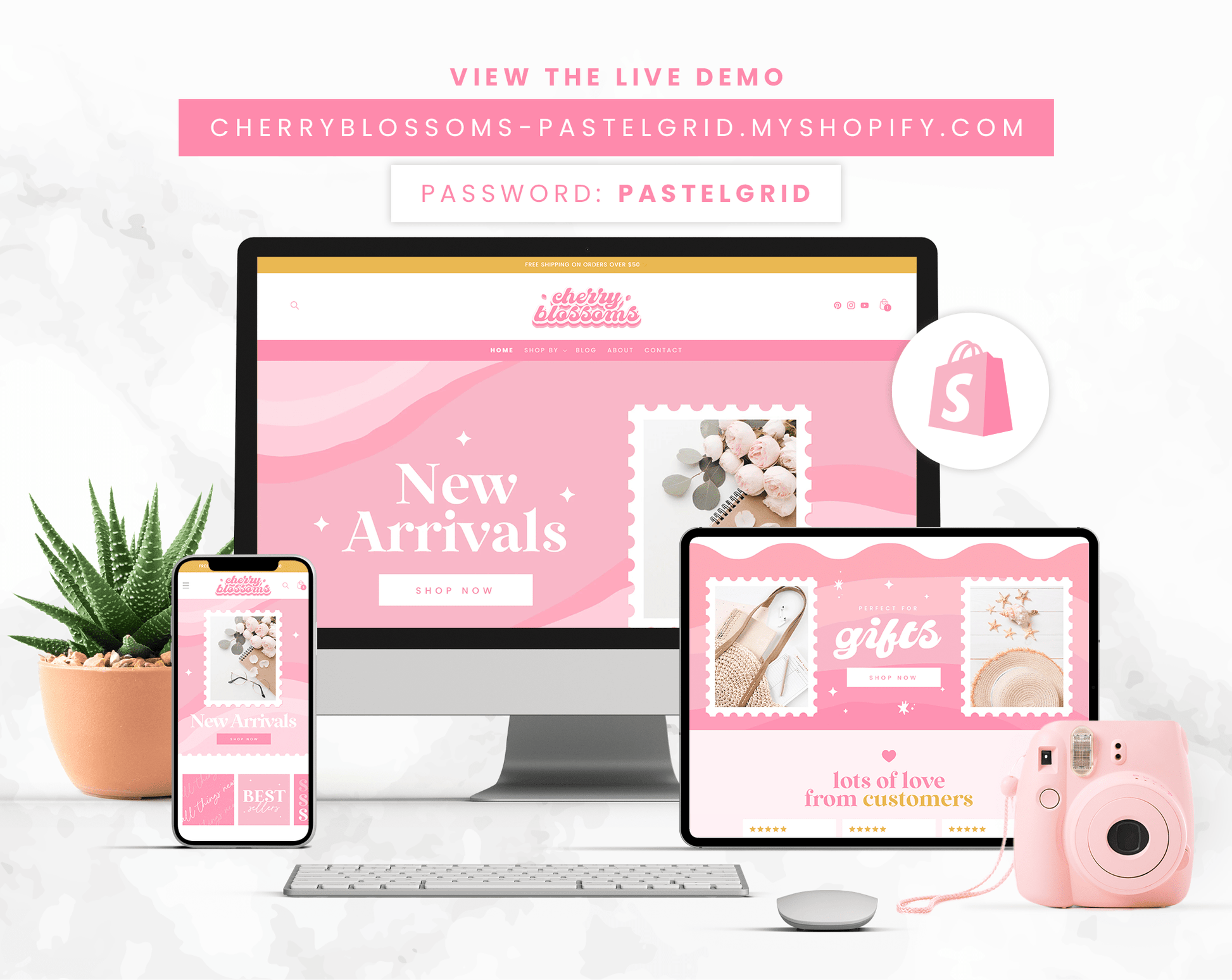 Shopify Theme
