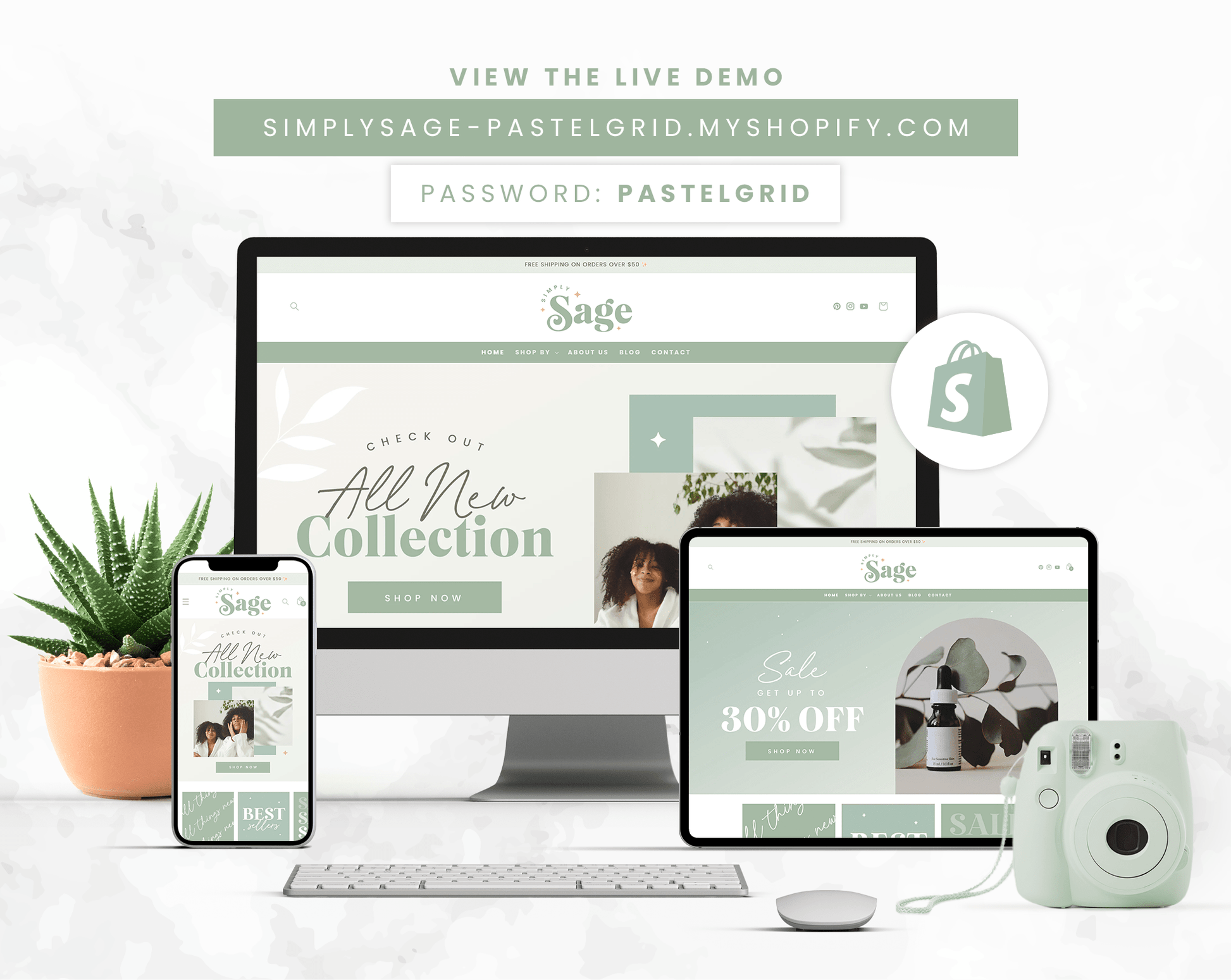 Shopify Theme