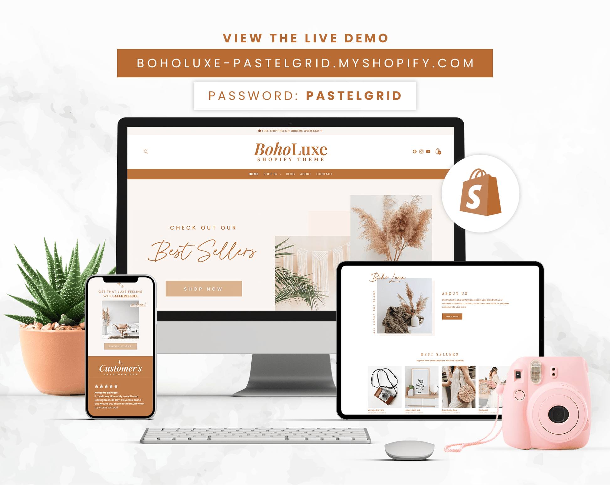 Shopify Theme