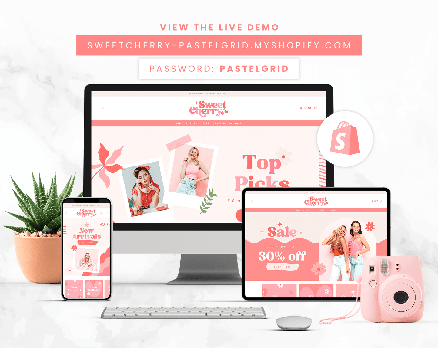 Shopify Theme