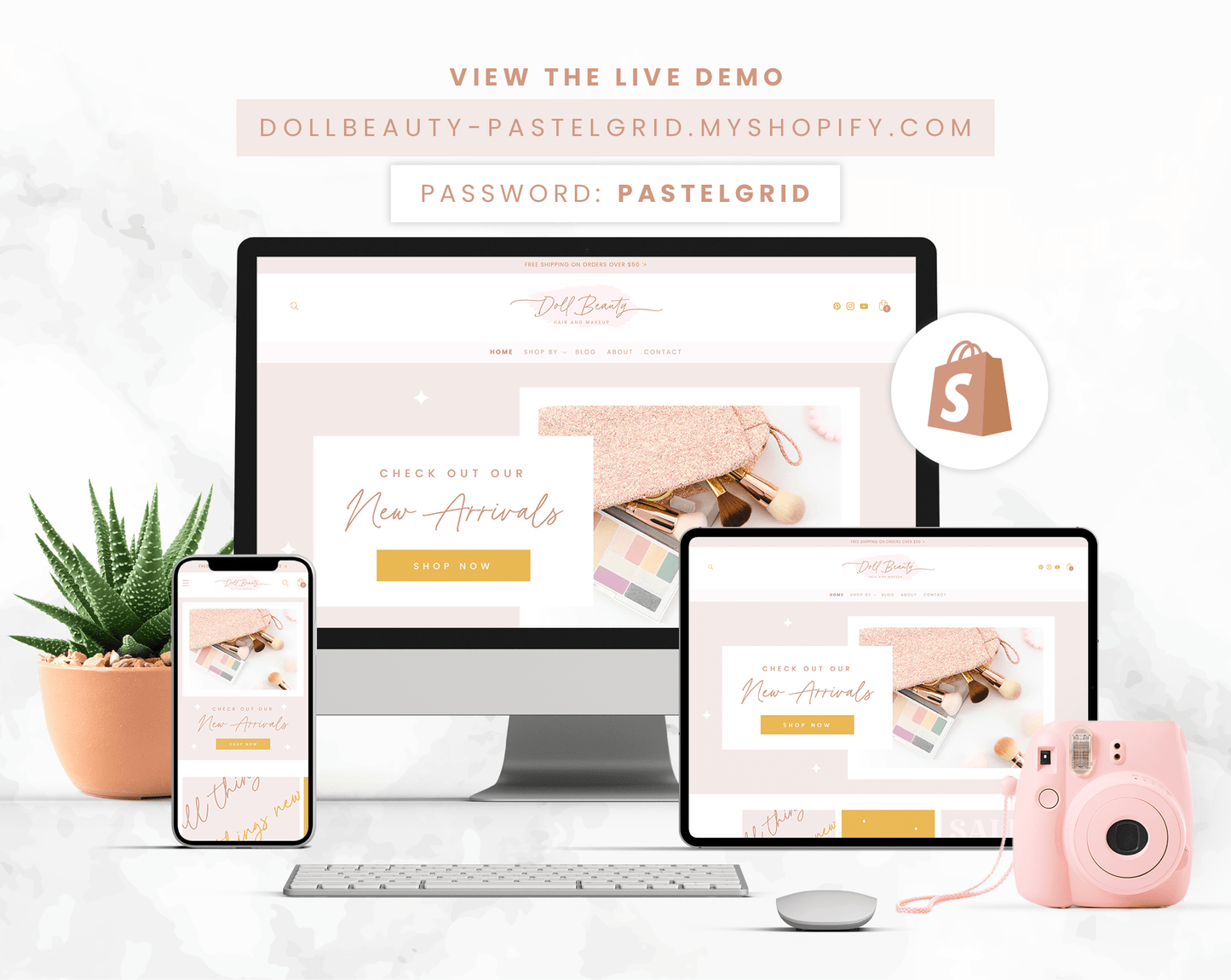 Shopify Theme